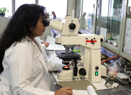 Medical student looking something using a microscope